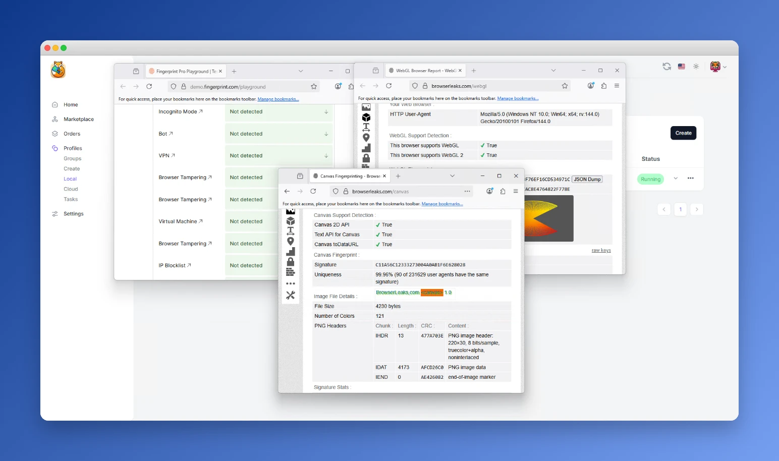 Antidetect Browser Interface